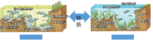 圖片1.png 圖片1.png